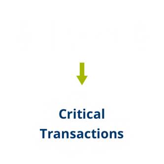 bic-critical-transactions